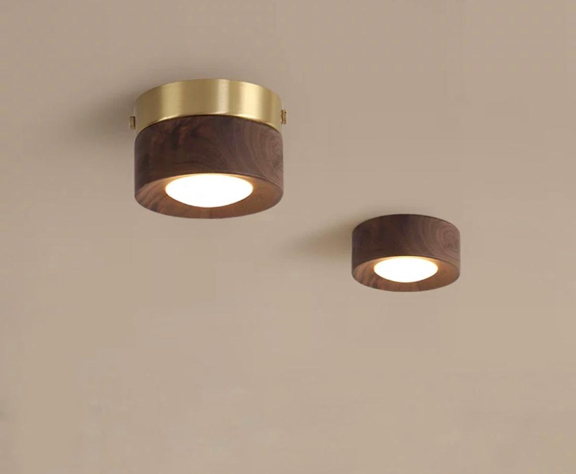 Точечный светильник WOOD