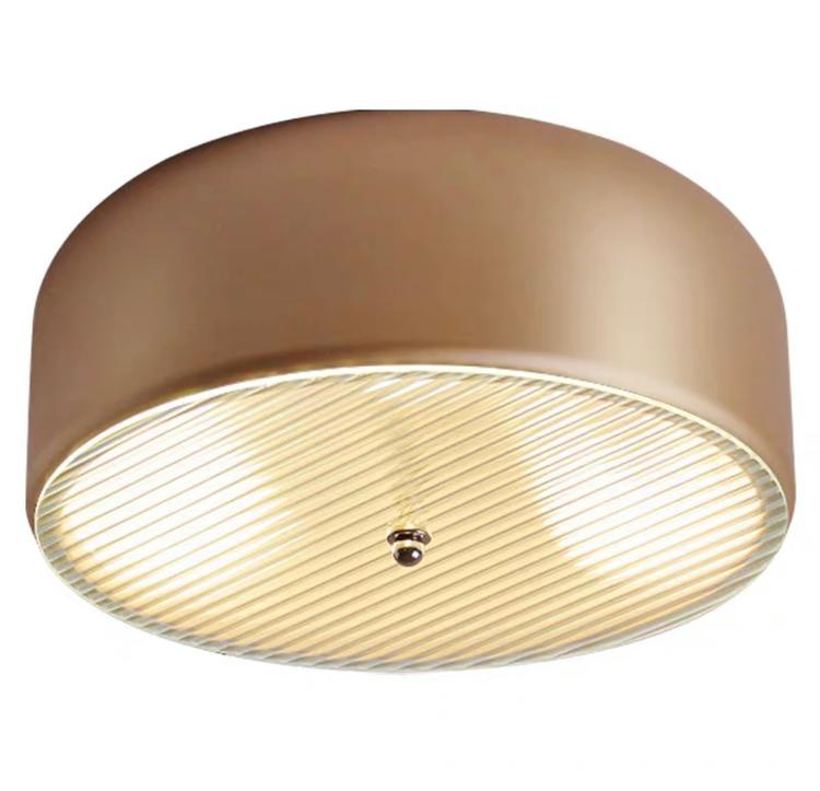 Потолочный светильник RANNY