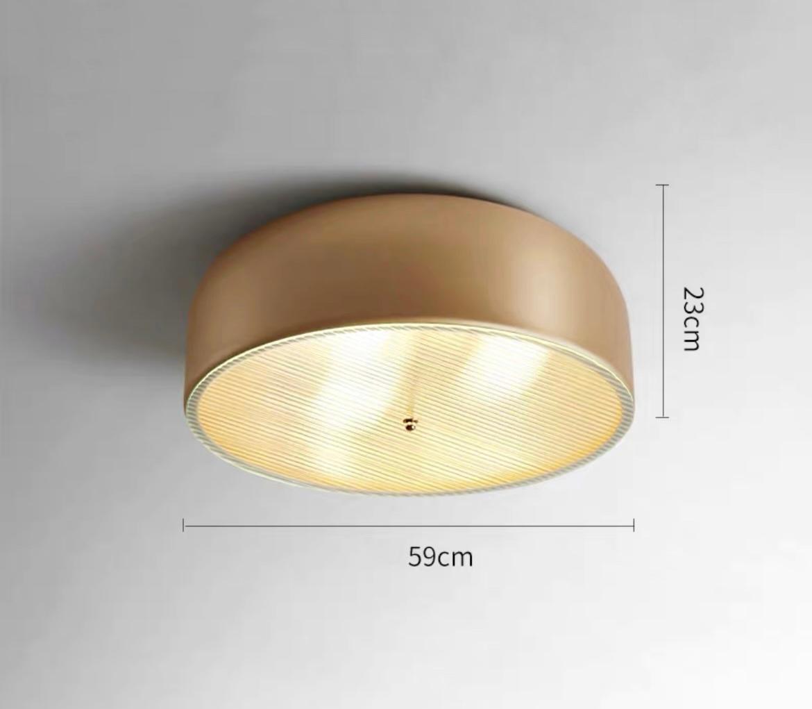 Потолочный светильник RANNY