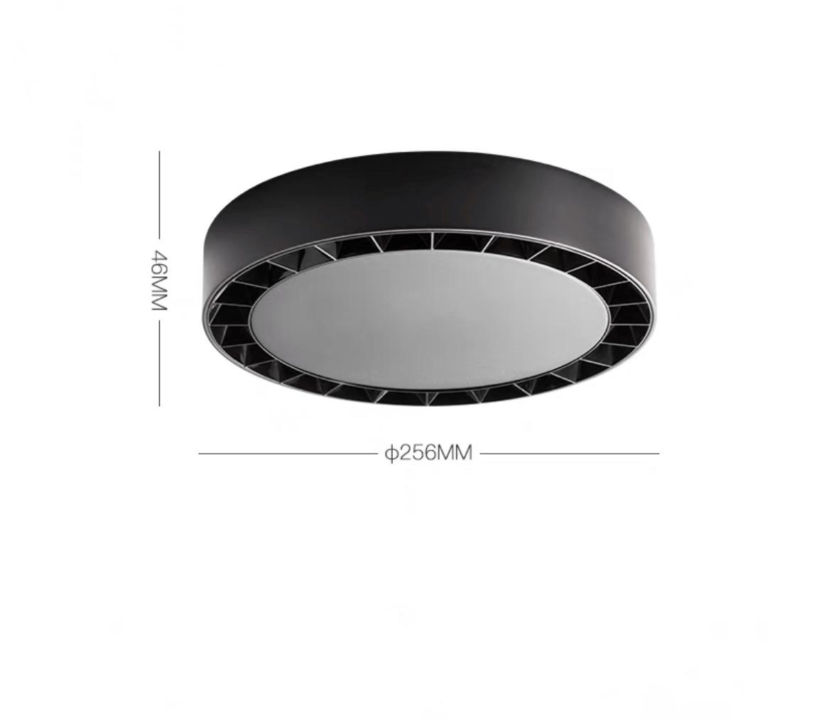 Потолочный светильник OCTAVIA