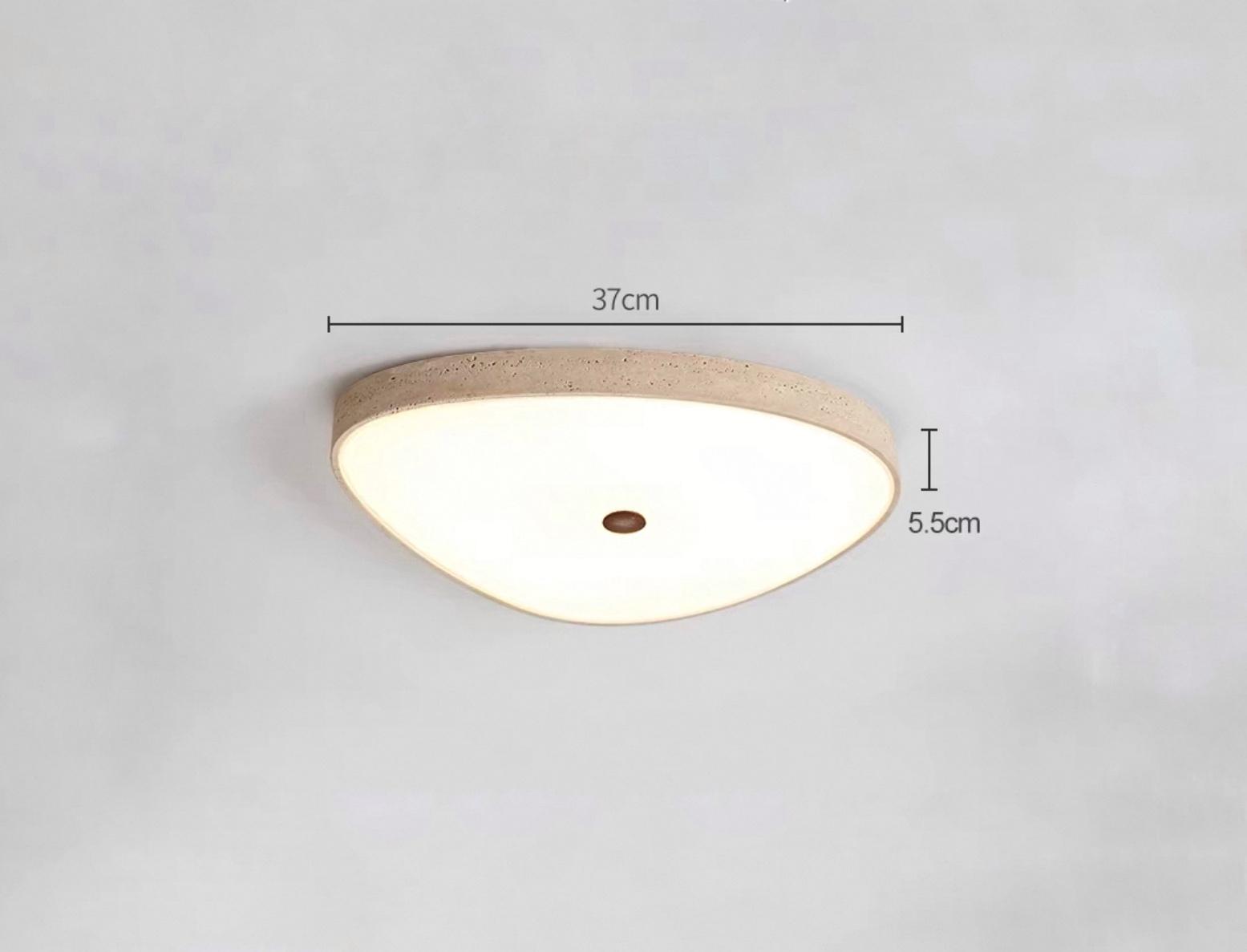 Потолочный светильник NPPA