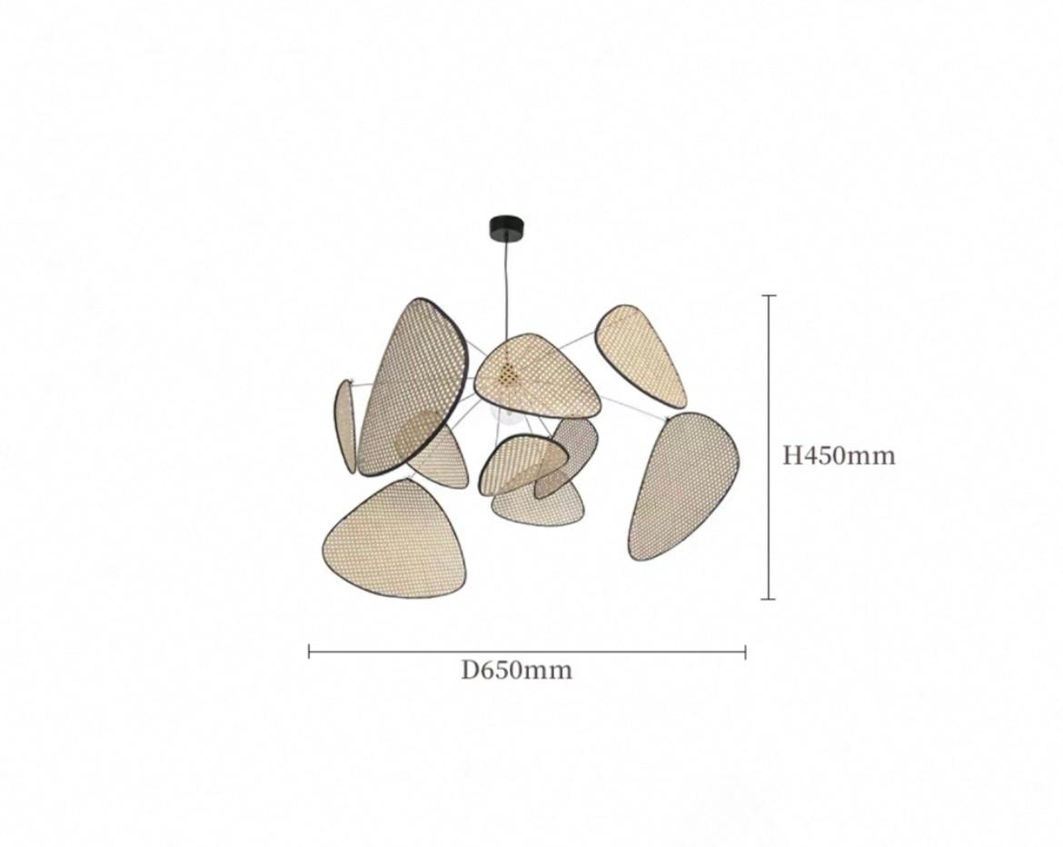 Подвесная люстра RAVDNA B